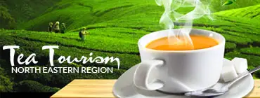 Tea Tourism