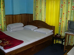 Hotel Orchid - Room